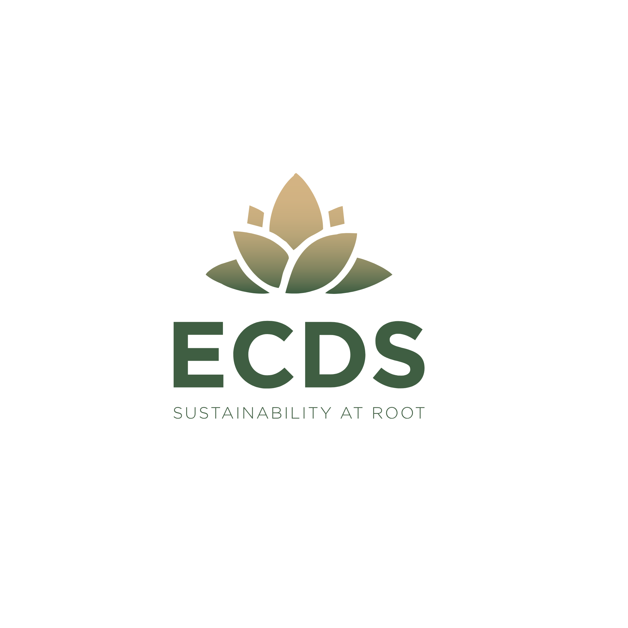 ECDS Official